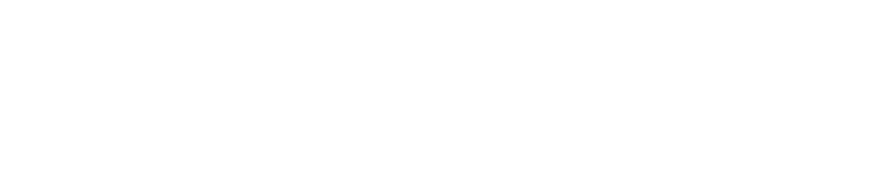 schauenburg-logo-white